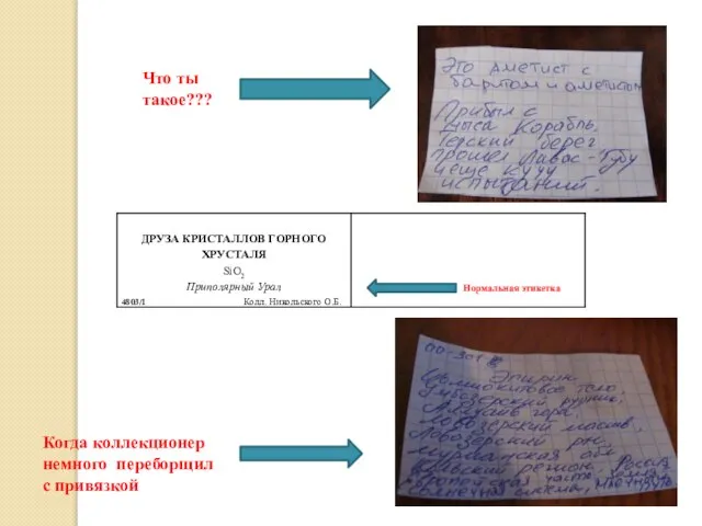 Что ты такое??? Когда коллекционер немного переборщил с привязкой