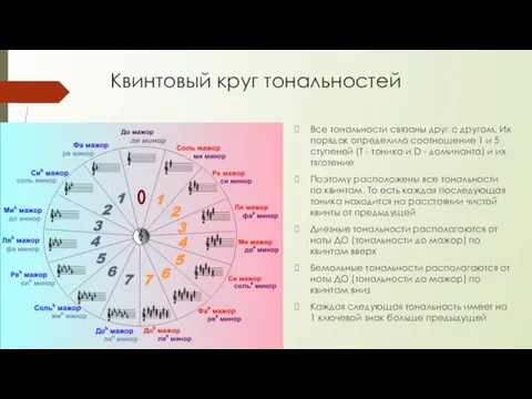 Квинтовый круг тональностей Все тональности связаны друг с другом. Их порядок определило