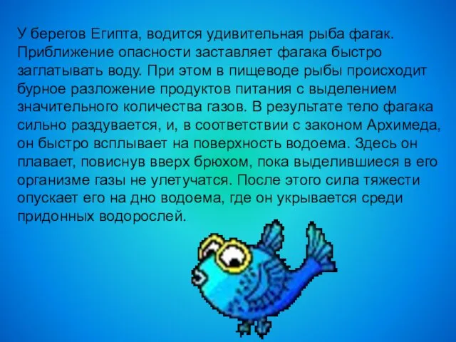 У берегов Египта, водится удивительная рыба фагак. Приближение опасности заставляет фагака быстро