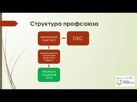 Структура профсоюза Центральный совет (ЦС) Межрегиональная организация профсоюза (Терком) ПРОФКОМ СТУДЕНТОВ ГУАП СКС