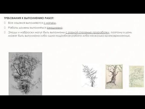 ТРЕБОВАНИЯ К ВЫПОЛНЕНИЮ РАБОТ: Все задания выполняются с натуры. Работы должны выполняться