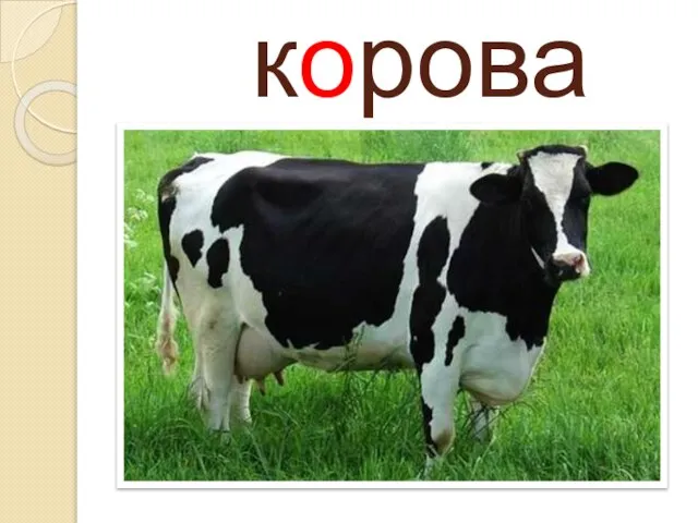 корова