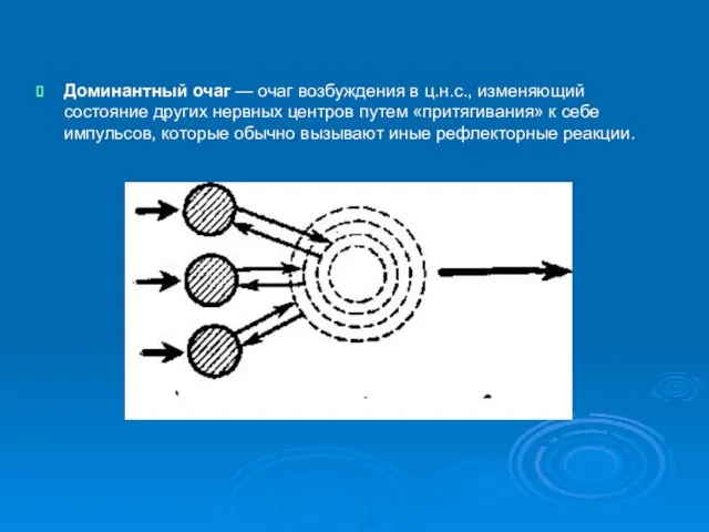 Доминантный очаг — очаг возбуждения в ц.н.с., изменяющий состояние других нервных центров