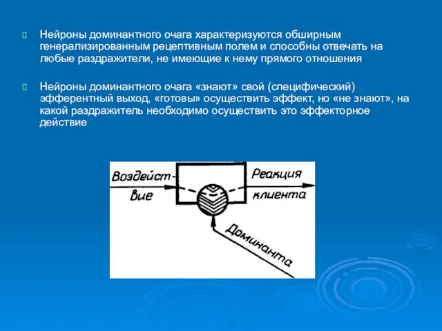 Нейроны доминантного очага характеризуются обширным генерализированным рецептивным полем и способны отвечать на