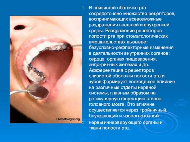 В слизистой оболочке рта сосредоточено множество рецепторов, воспринимающих всевозможные раздражения внешней и