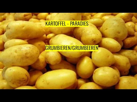 KARTOFFEL - PARADIES GRUMBIEREN/GRUMBEEREN