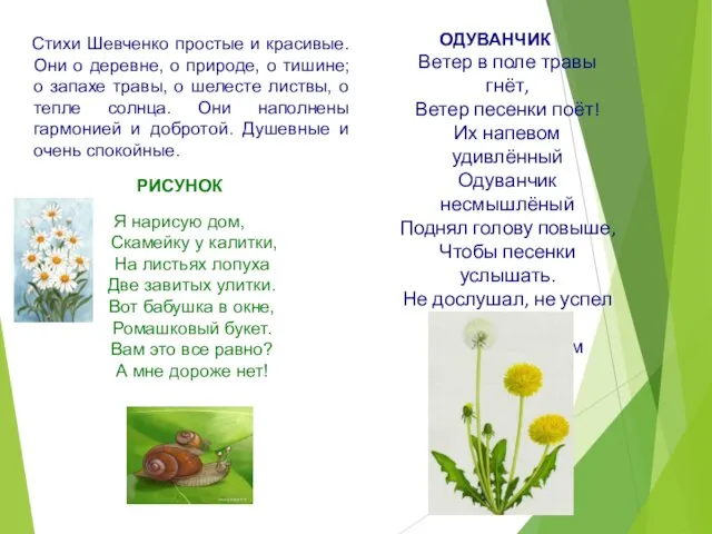 Стихи Шевченко простые и красивые. Они о деревне, о природе, о тишине;