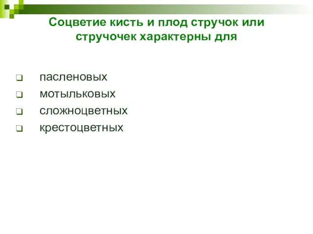 Соцветие кисть и плод стручок или стручочек характерны для пасленовых мотыльковых сложноцветных крестоцветных