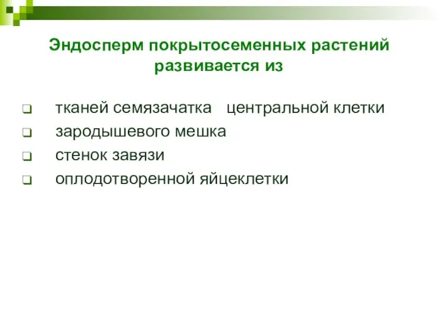 Эндосперм покрытосеменных растений развивается из тканей семязачатка центральной клетки зародышевого мешка стенок завязи оплодотворенной яйцеклетки