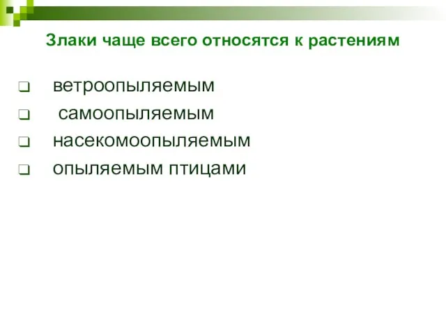 Злаки чаще всего относятся к растениям ветроопыляемым самоопыляемым насекомоопыляемым опыляемым птицами