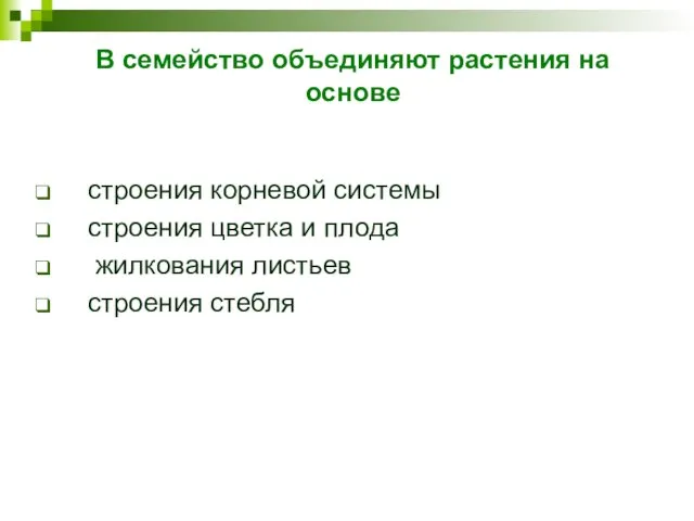 В семейство объединяют растения на основе строения корневой системы строения цветка и