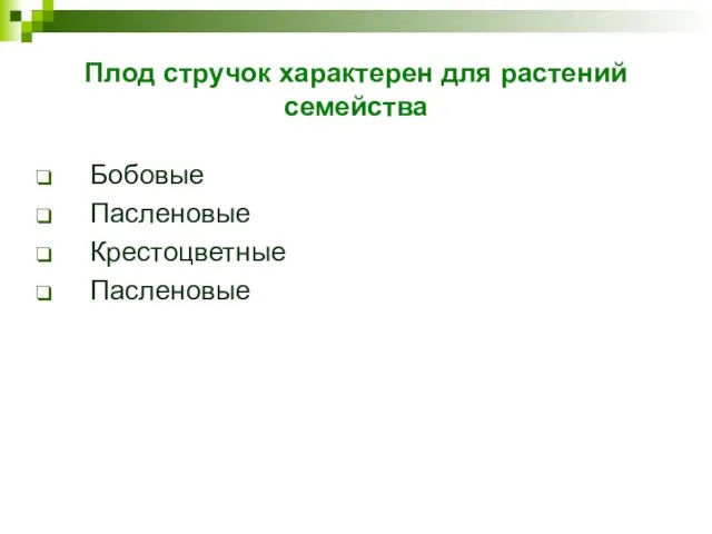 Плод стручок характерен для растений семейства Бобовые Пасленовые Крестоцветные Пасленовые