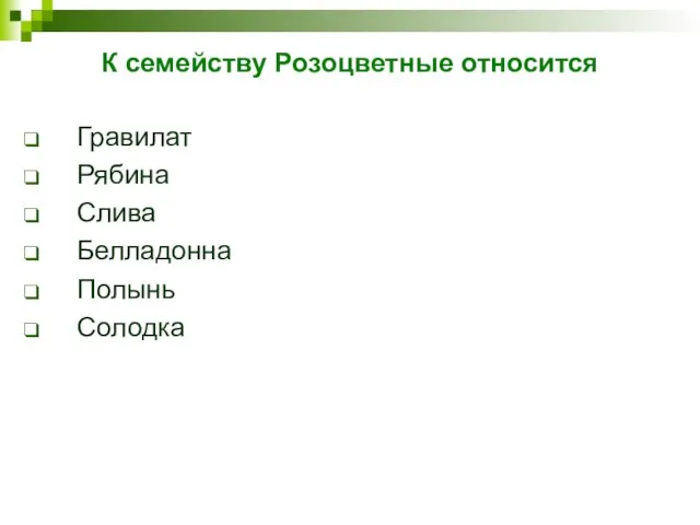 К семейству Розоцветные относится Гравилат Рябина Слива Белладонна Полынь Солодка