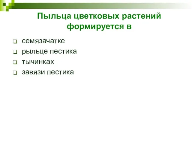 Пыльца цветковых растений формируется в семязачатке рыльце пестика тычинках завязи пестика