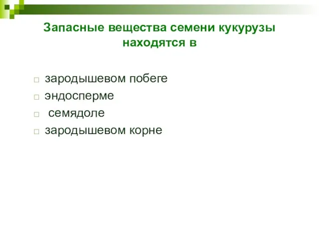 Запасные вещества семени кукурузы находятся в зародышевом побеге эндосперме семядоле зародышевом корне