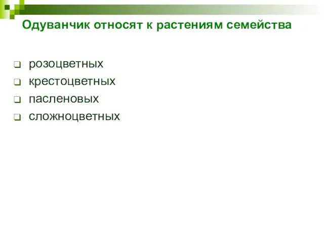 Одуванчик относят к растениям семейства розоцветных крестоцветных пасленовых сложноцветных