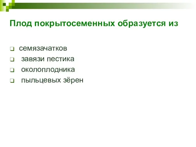 Плод покрытосеменных образуется из семязачатков завязи пестика околоплодника пыльцевых зёрен