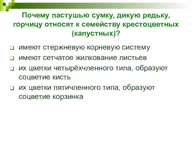 Почему пастушью сумку, дикую редьку, горчицу относят к семейству крестоцветных (капустных)? имеют