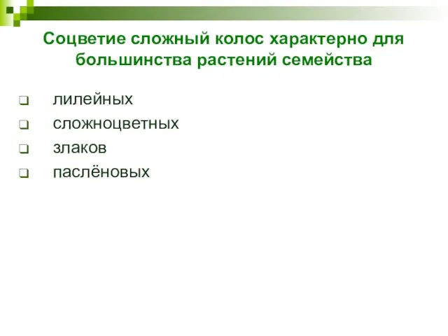 Соцветие сложный колос характерно для большинства растений семейства лилейных сложноцветных злаков паслёновых