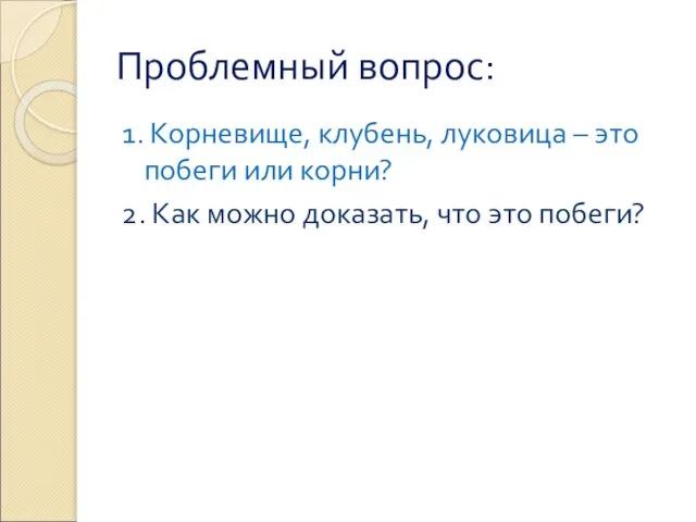 Проблемный вопрос: 1. Корневище, клубень, луковица – это побеги или корни? 2.