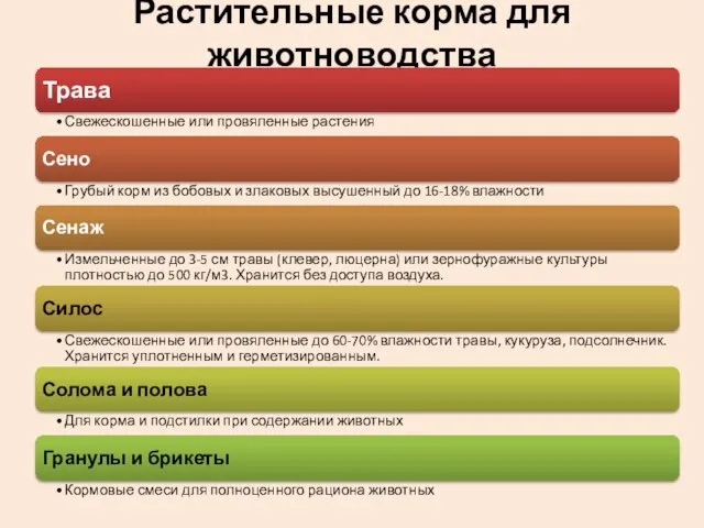 Растительные корма для животноводства