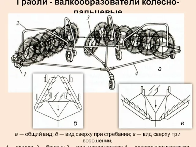 Грабли - валкообразователи колесно-пальцевые а — общий вид; б — вид сверху