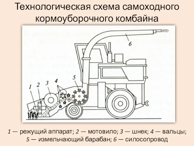 Технологическая схема самоходного кормоуборочного комбайна 1 — режущий аппарат; 2 — мотовило;