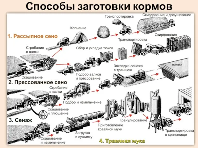 Способы заготовки кормов