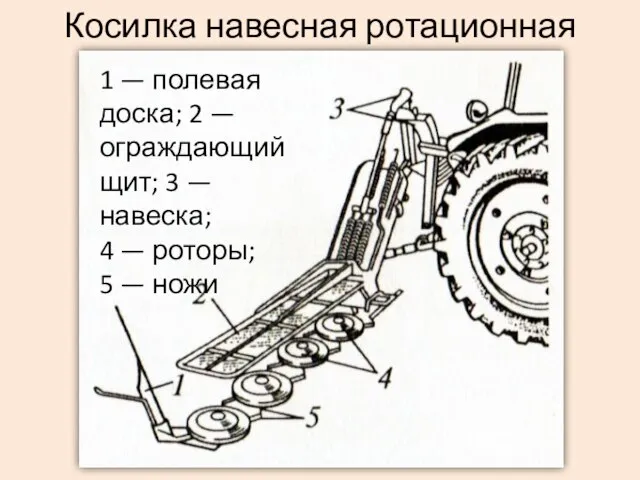 Косилка навесная ротационная 1 — полевая доска; 2 — ограждающий щит; 3