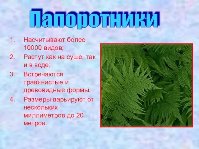 Насчитывают более 10000 видов; Растут как на суше, так и в воде;