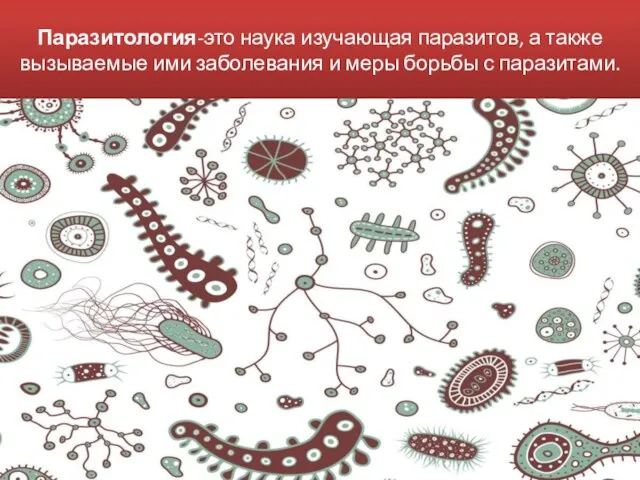 Паразитология-это наука изучающая паразитов, а также вызываемые ими заболевания и меры борьбы с паразитами.