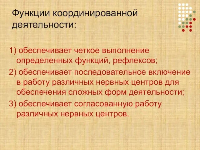 Функции координированной деятельности: 1) обеспечивает четкое выполнение определенных функций, рефлексов; 2) обеспечивает