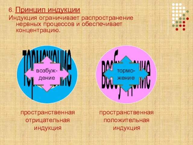 6. Принцип индукции Индукция ограничивает распространение нервных процессов и обеспечивает концентрацию. пространственная