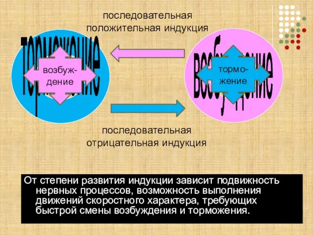 От степени развития индукции зависит подвижность нервных процессов, возможность выполнения движений скоростного