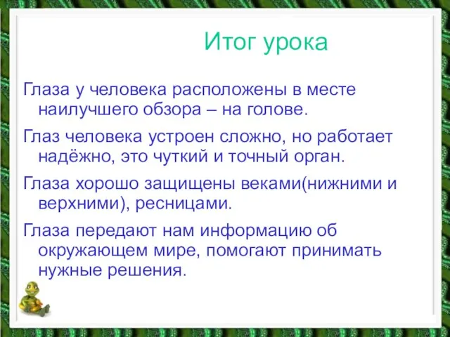 Итог урока Глаза у человека расположены в месте наилучшего обзора – на