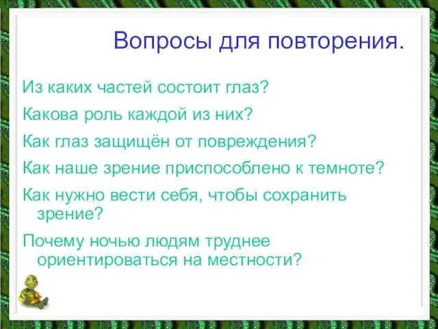 Вопросы для повторения. Из каких частей состоит глаз? Какова роль каждой из