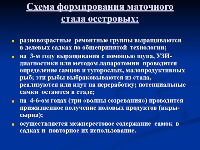 Схема формирования маточного стада осетровых: разновозрастные ремонтные группы выращиваются в делевых садках