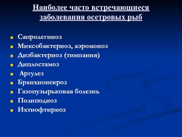 Наиболее часто встречающиеся заболевания осетровых рыб Сапролегниоз Миксобактериоз, аэромоноз Дизбактериоз (тимпания) Диплостамоз