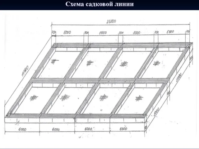 Схема садковой линии