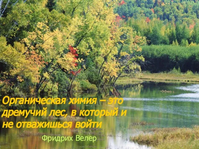 Органическая химия – это дремучий лес, в который и не отважишься войти Фридрих Велер