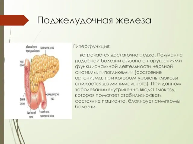 Поджелудочная железа Гиперфункция: встречается достаточно редко. Появление подобной болезни связано с нарушениями