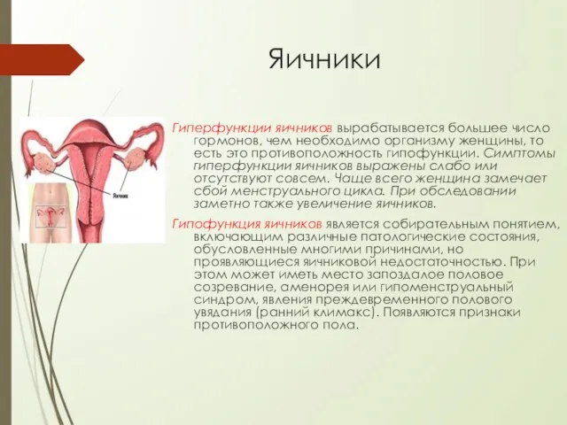 Яичники Гиперфункции яичников вырабатывается большее число гормонов, чем необходимо организму женщины, то