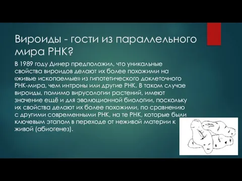 Вироиды - гости из параллельного мира РНК? В 1989 году Динер предположил,