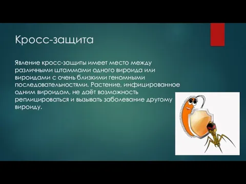 Кросс-защита Явление кросс-защиты имеет место между различными штаммами одного вироида или вироидами