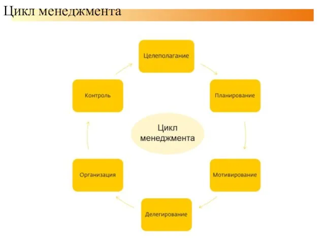 Цикл менеджмента