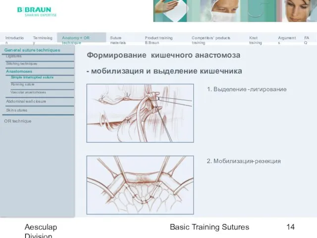 Basic Training Sutures Aesculap Division - мобилизация и выделение кишечника 1. Выделение