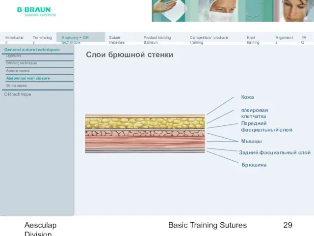 Basic Training Sutures Aesculap Division Слои брюшной стенки Кожа п/жировая клетчатка Передний