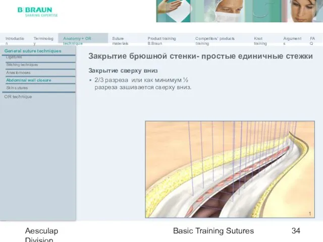 Basic Training Sutures Aesculap Division Закрытие сверху вниз 2/3 разреза или как