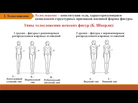 3. Телосложение Типы телосложения женских фигур (Б. Шкерли): L – Лептозомный (тонкий)
