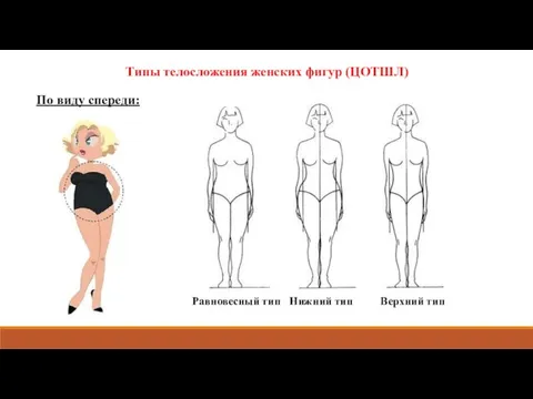 Типы телосложения женских фигур (ЦОТШЛ) Равновесный тип Верхний тип Нижний тип По виду спереди: